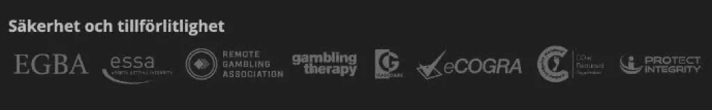 Säkerhet hos Storspelare Casino
